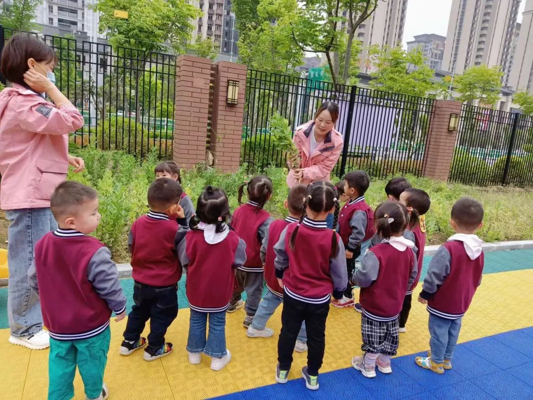 食”光美味，“育”見美好——培文幼兒園第三期食育課程